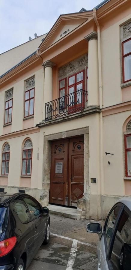 Enjoy 110Qm Apartment Im Historischen Zentrum Sopron Dış mekan fotoğraf